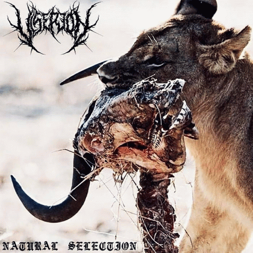 Viserion : Natural Selection